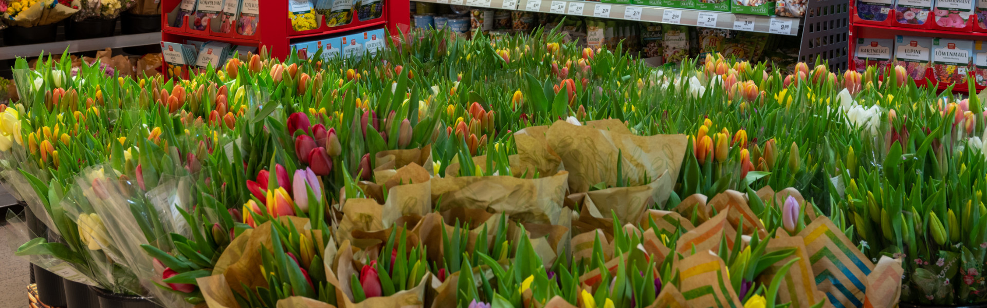 Blumen